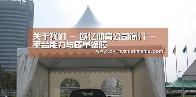 案例标题八