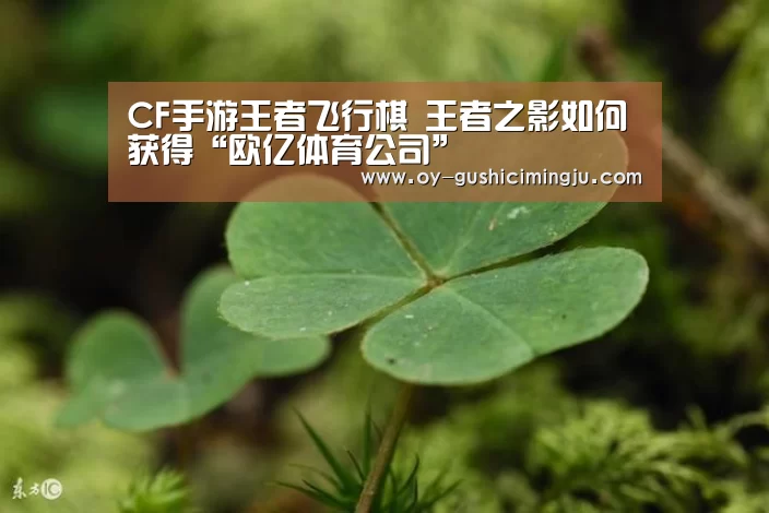 CF手游王者飞行棋 王者之影如何获得“欧亿体育公司”(图1) 欧亿体育公司