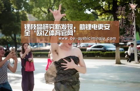 锂枝晶研究新发现,助锂电更安全‘欧亿体育官网’(图1) 欧亿体育公司