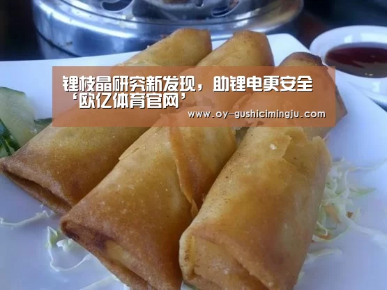 锂枝晶研究新发现,助锂电更安全‘欧亿体育官网’(图2) 欧亿体育