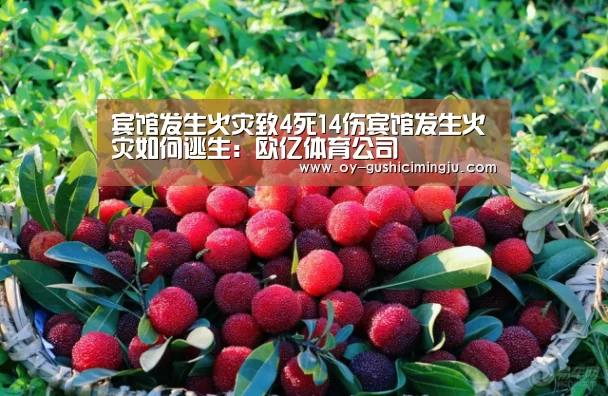 宾馆发生火灾致4死14伤宾馆发生火灾如何逃生:欧亿体育公司(图1) 欧亿体育