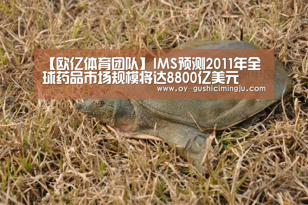 【欧亿体育团队】IMS预测2011年全球药品市场规模将达8800亿美元(图1) 欧亿体育公司